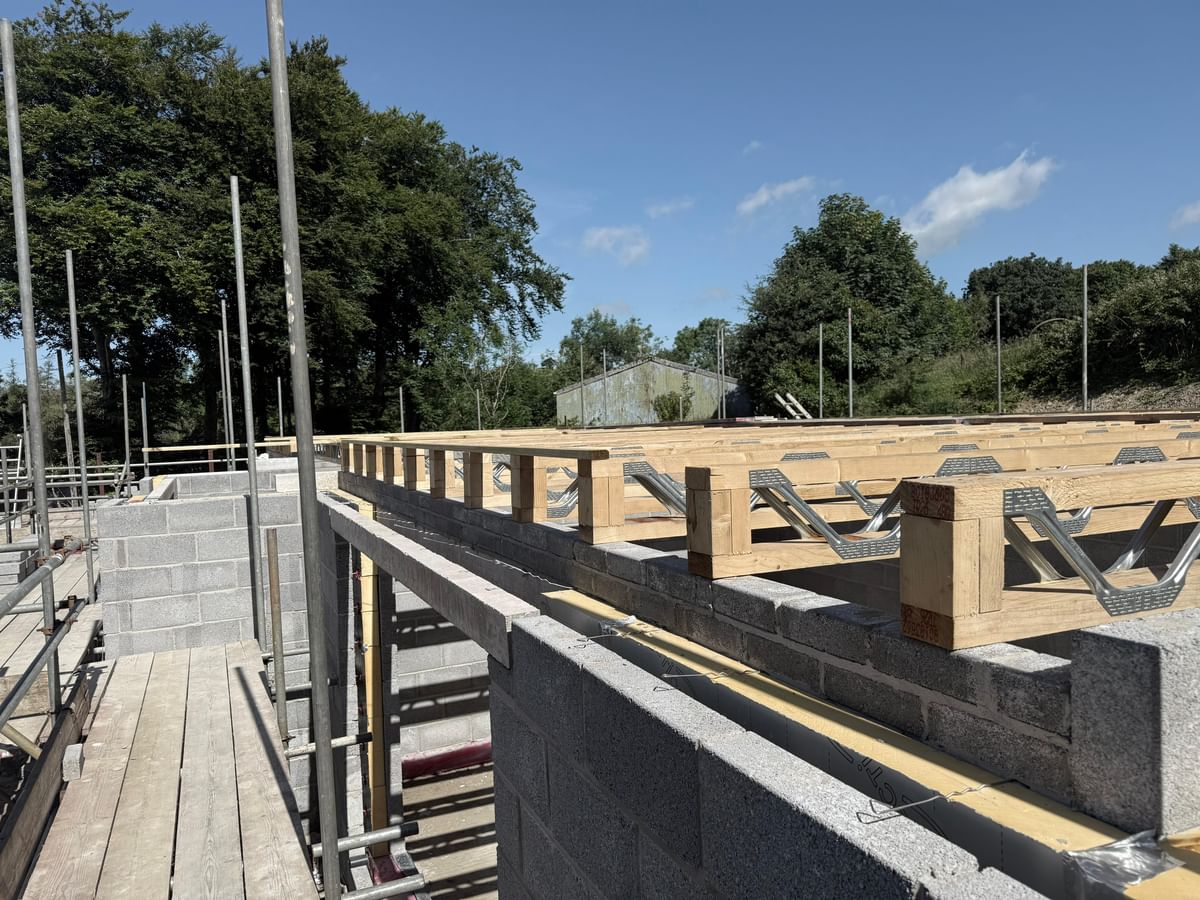 Lampeter - Traditional House Build